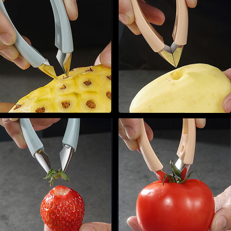 Fruit Seed Remover/مزيل بذور الفواكهة