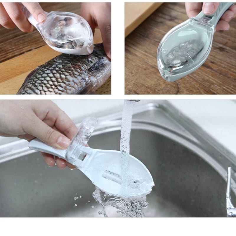 PRACTICAL FISH SCALE SCRAPER/أداة تقشير السمك